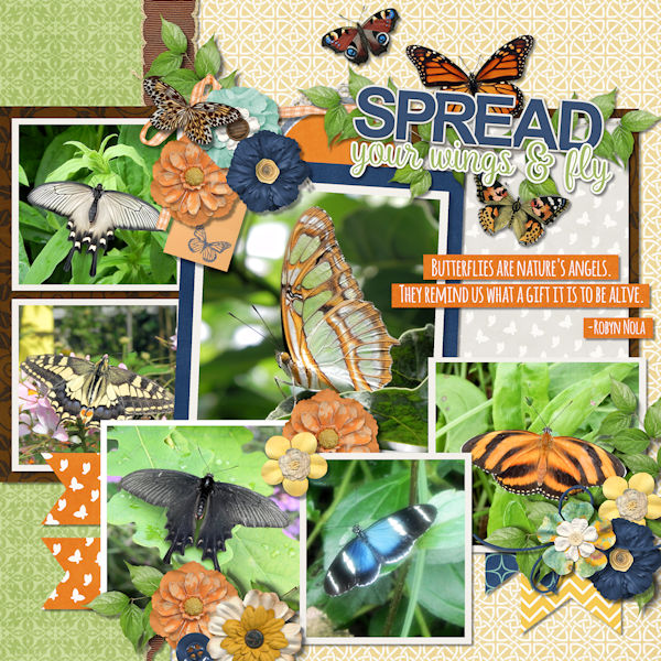 Butterfly garden