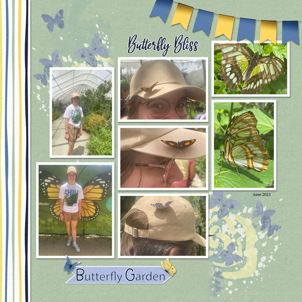 Butterfly Garden