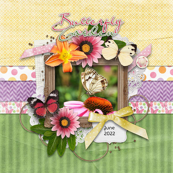 Butterfly Garden