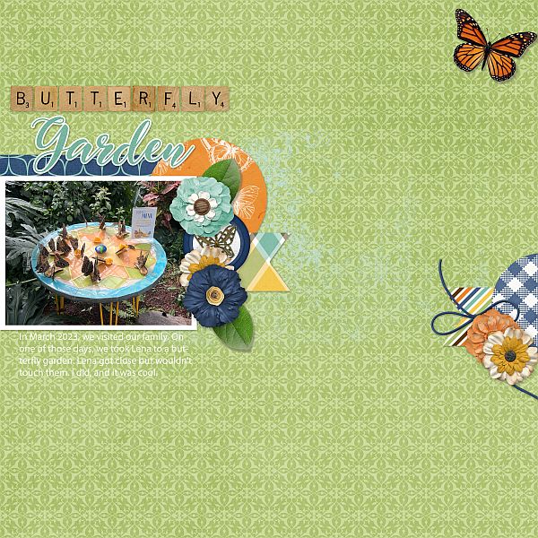 Butterfly Garden
