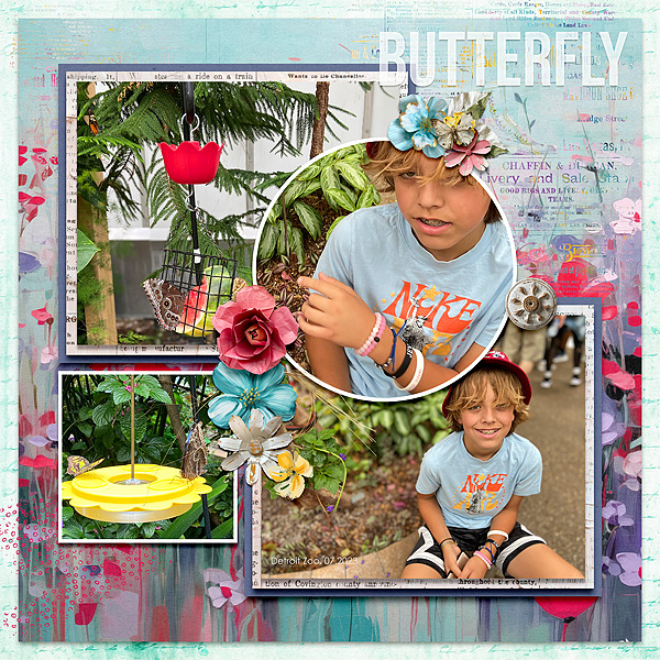Butterfly Garden
