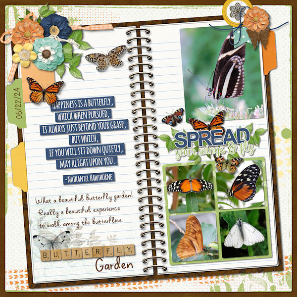 Butterfly garden