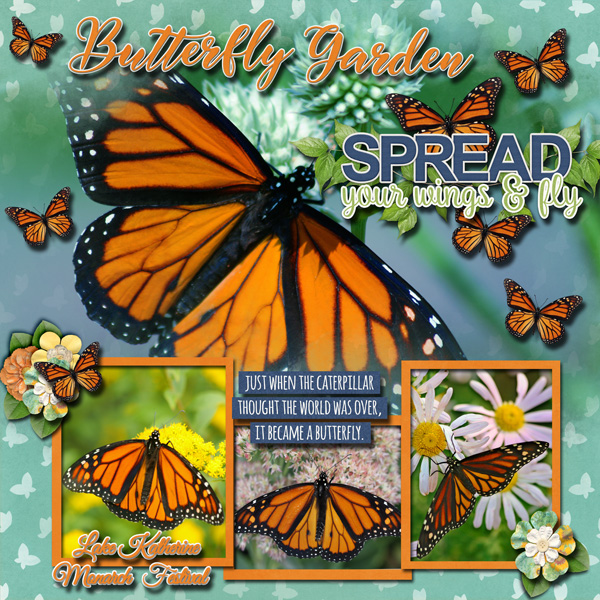 Butterfly Garden