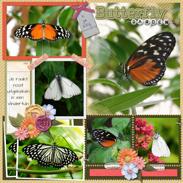 Butterfly garden