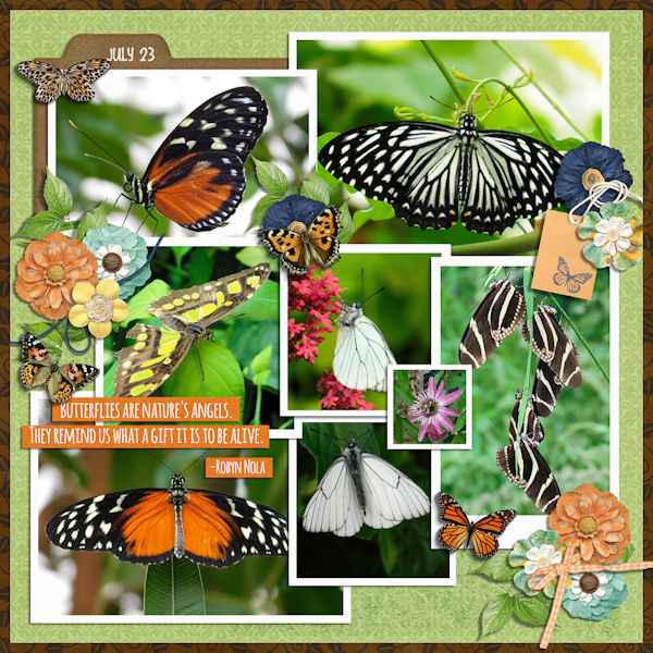 Butterfly Garden