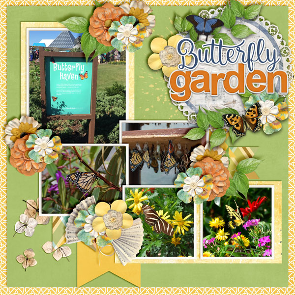 Butterfly-Garden3