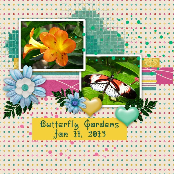 Butterfly Gardens
