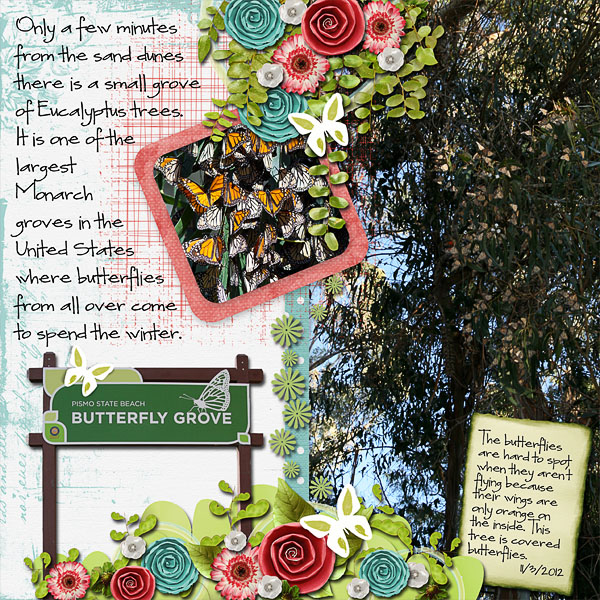 Butterfly Grove