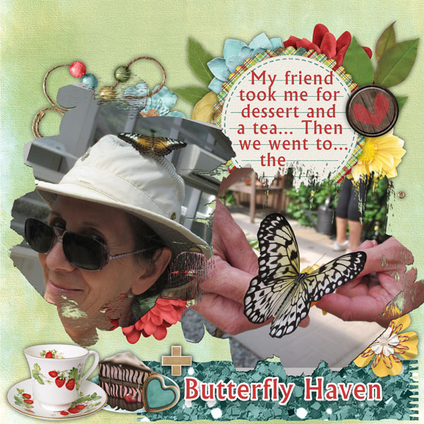 Butterfly Haven