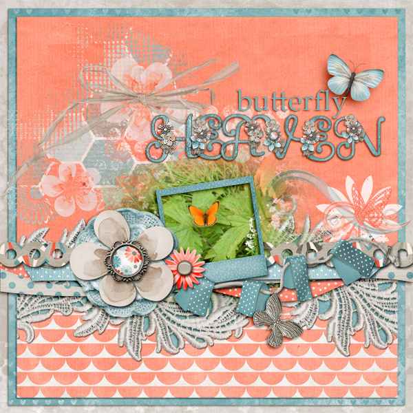 Butterfly-heaven