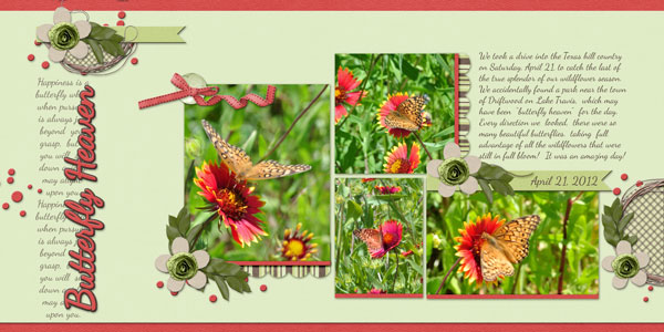 Butterfly Heaven