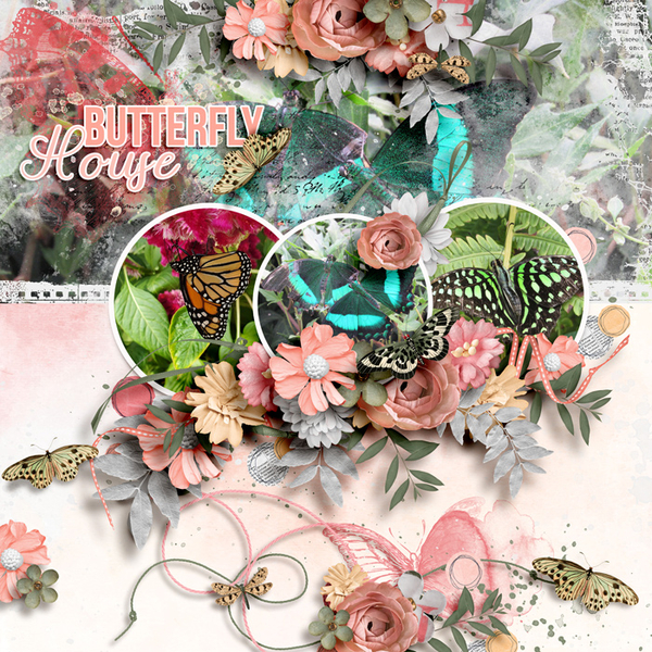 Butterfly House 2