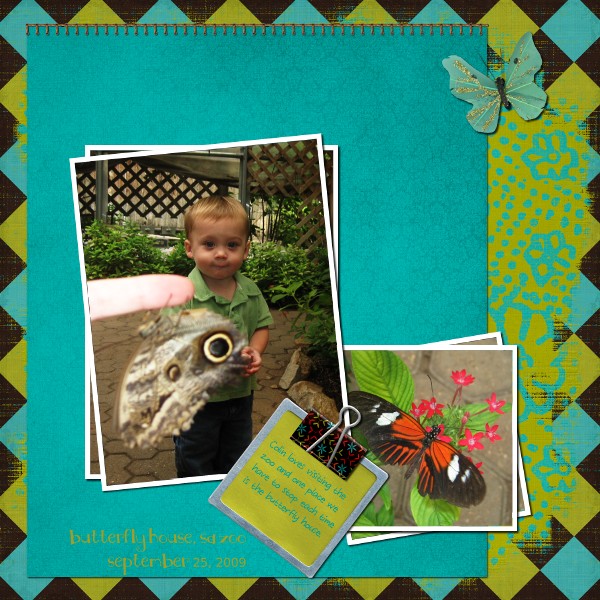 Butterfly House