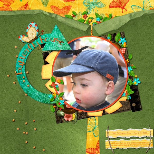Butterfly House