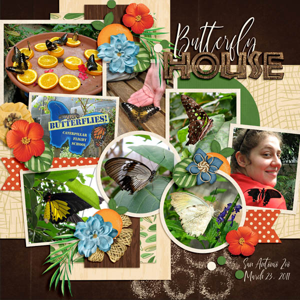 Butterfly House