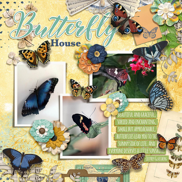Butterfly House