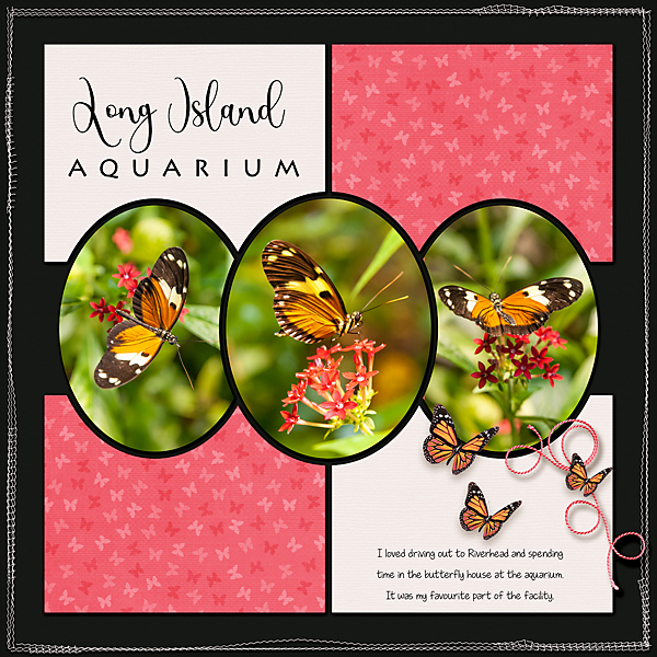 Butterfly House