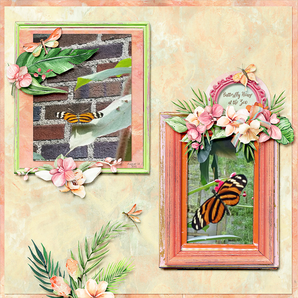 Butterfly House