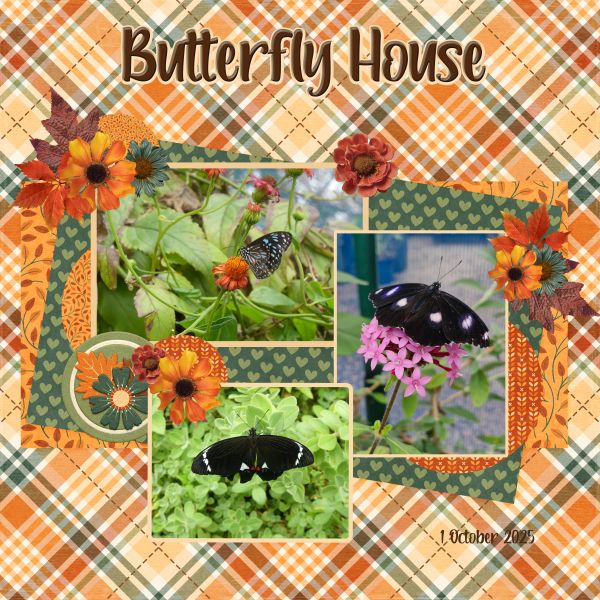 Butterfly House