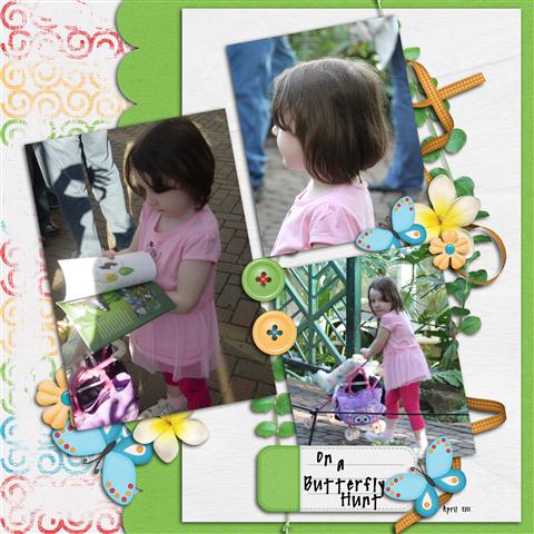 Butterfly Hunt