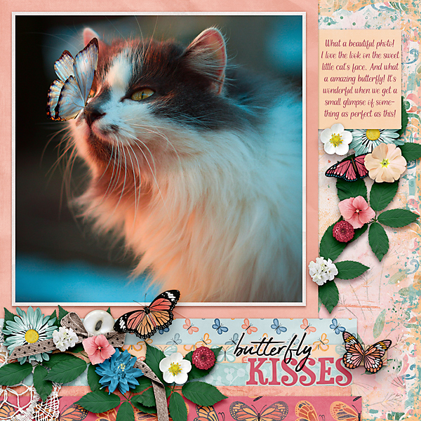 Butterfly Kisses