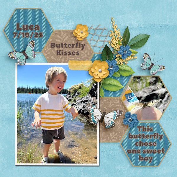 Butterfly Landed