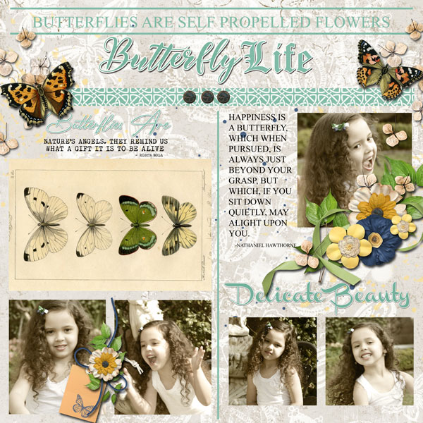 Butterfly Life