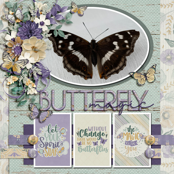 Butterfly magic