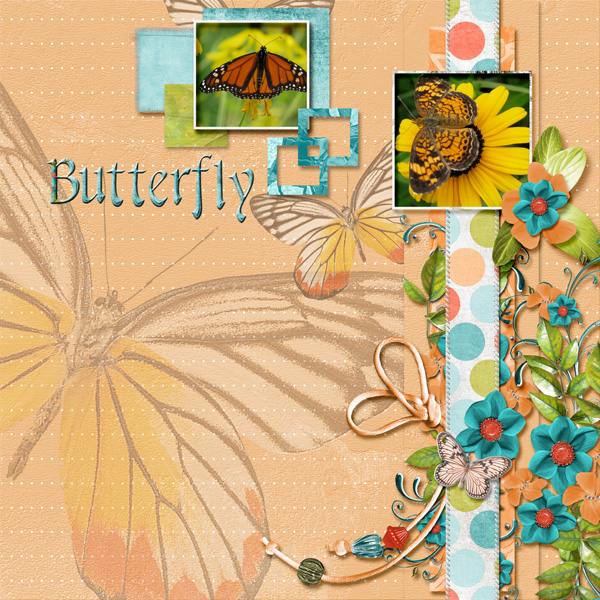 Butterfly morph