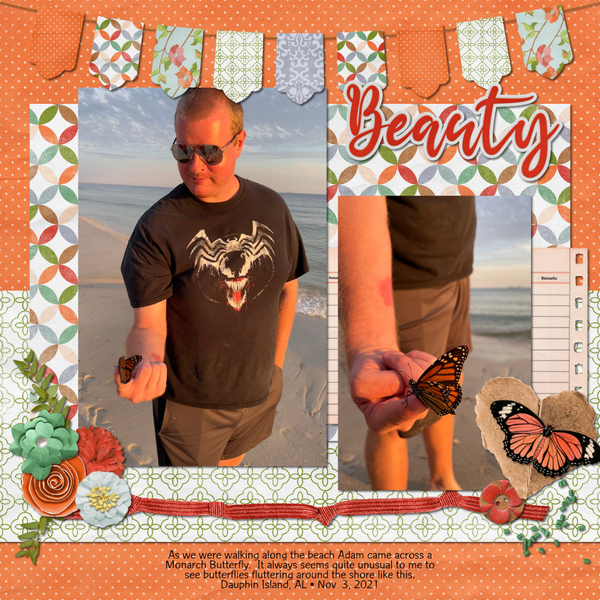 Butterfly on the Beach