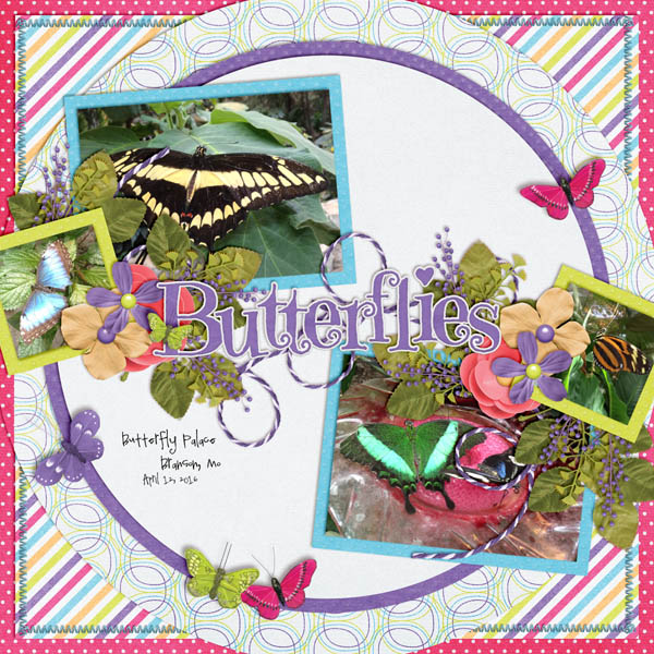butterfly palace
