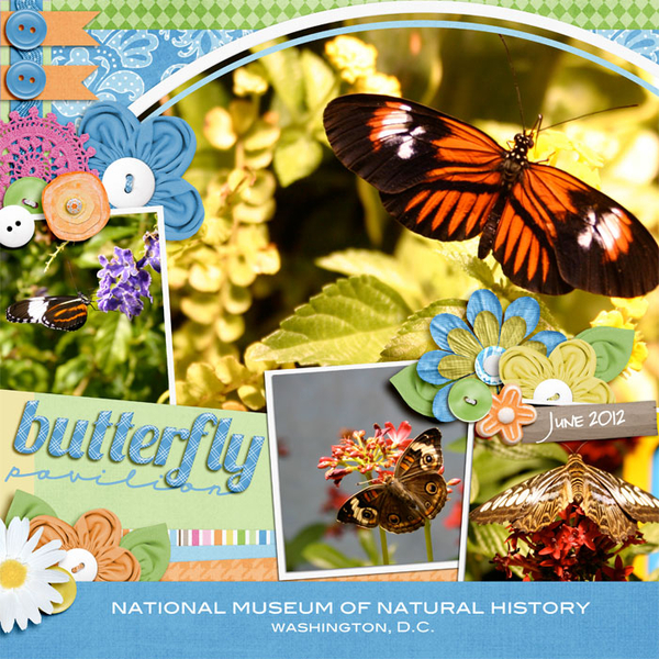 Butterfly Pavilion