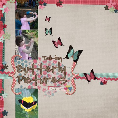 Butterfly Pics