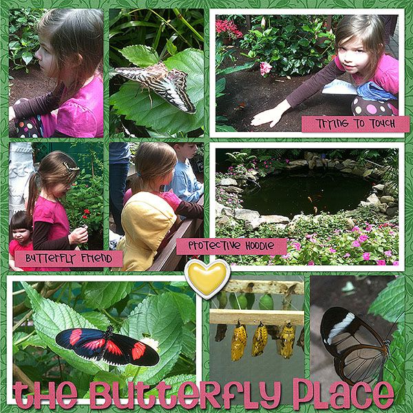 Butterfly Place Right