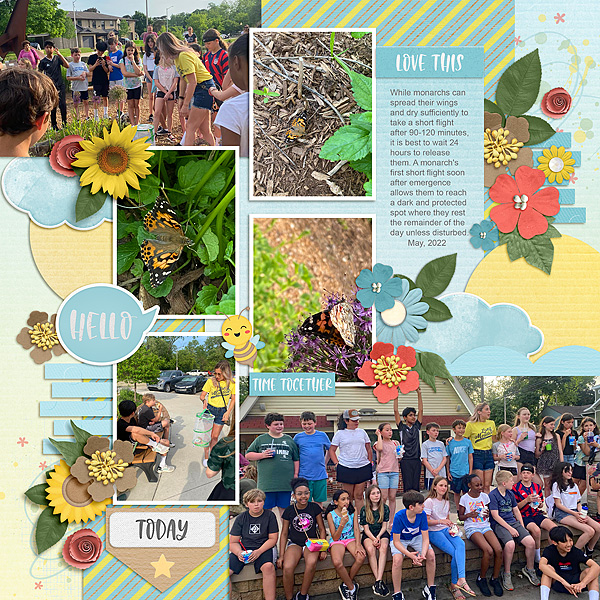 Butterfly Release 1