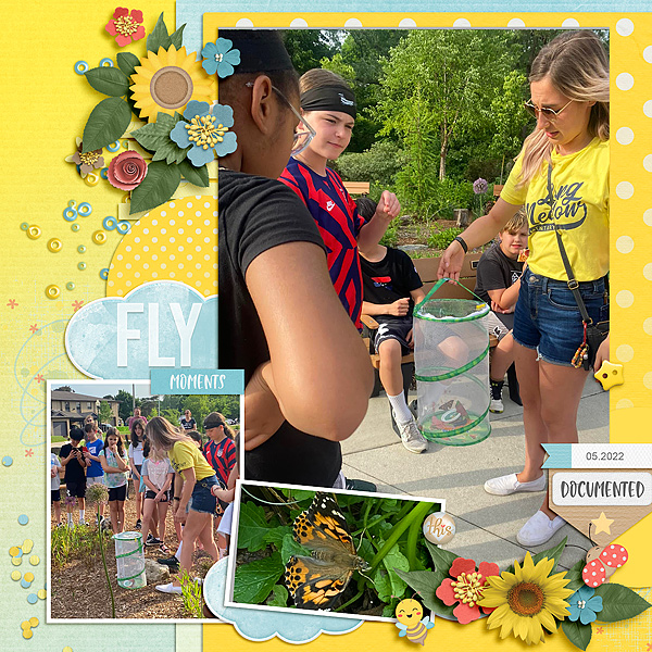 Butterfly Release 2