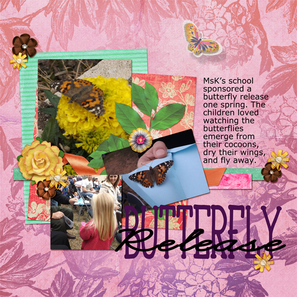 Butterfly Release