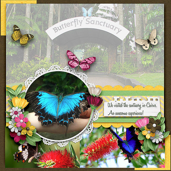 Butterfly Sanctuary