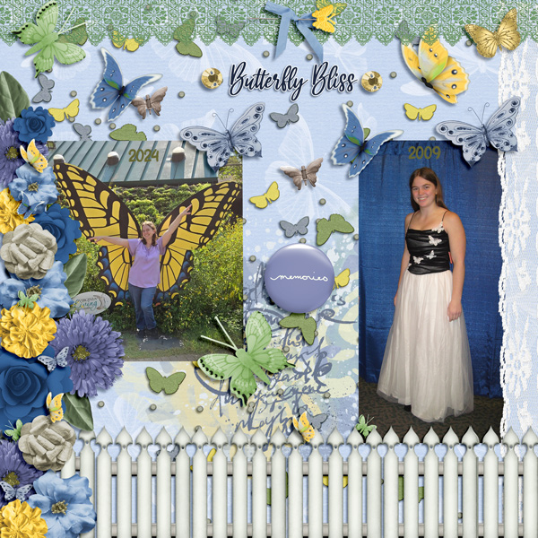 BUTTERFLY - SEPT 24