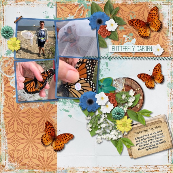 Butterfly Tagging