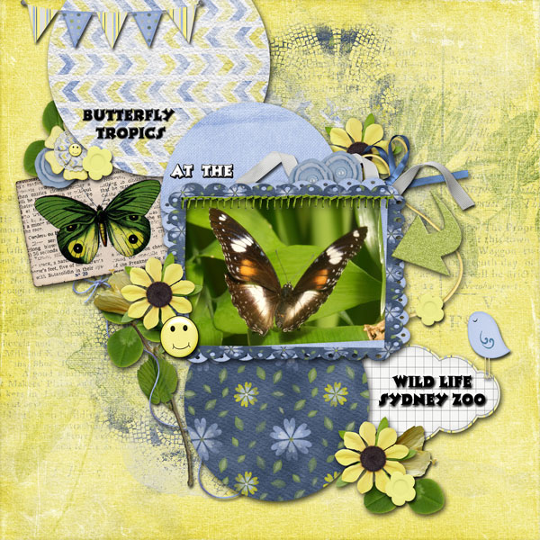 Butterfly Tropics