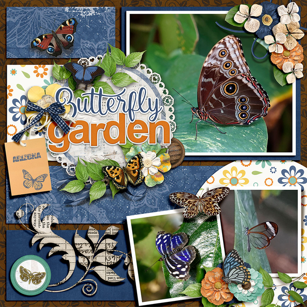 Butterfly Wonderland AZ