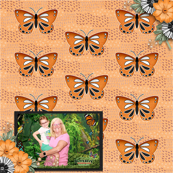 Butterfly Wonderland
