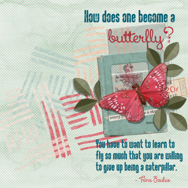Butterfly