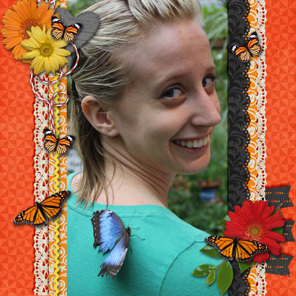 Butterfly