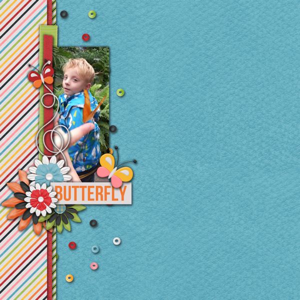 Butterfly