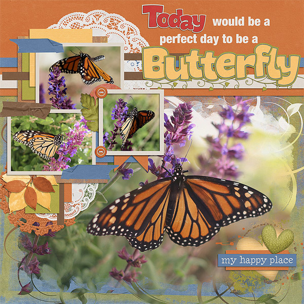 Butterfly