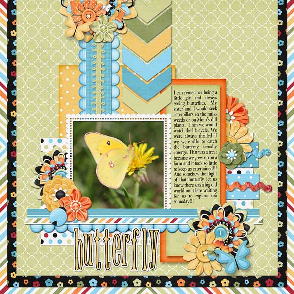 Butterfly