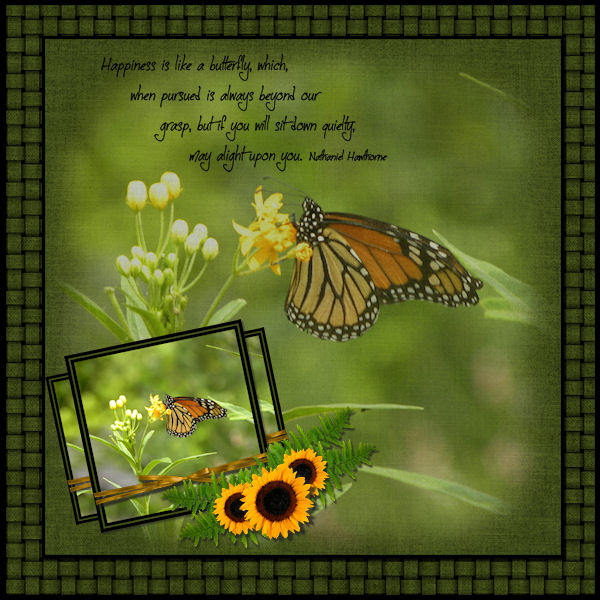 Butterfly