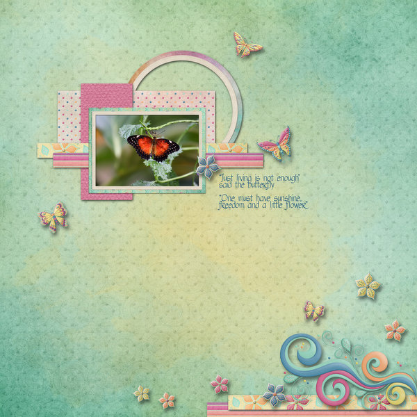 Butterfly